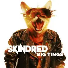 Skindred Big Tings